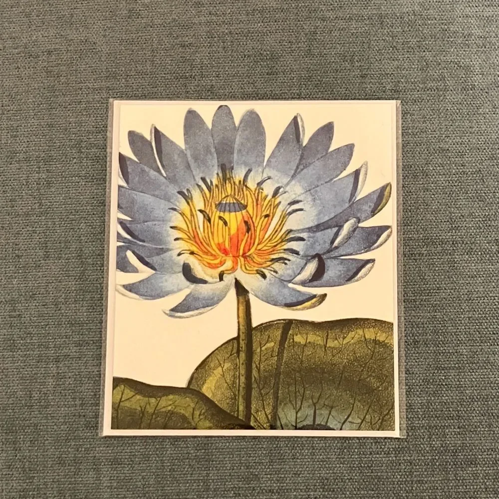 Flower Card